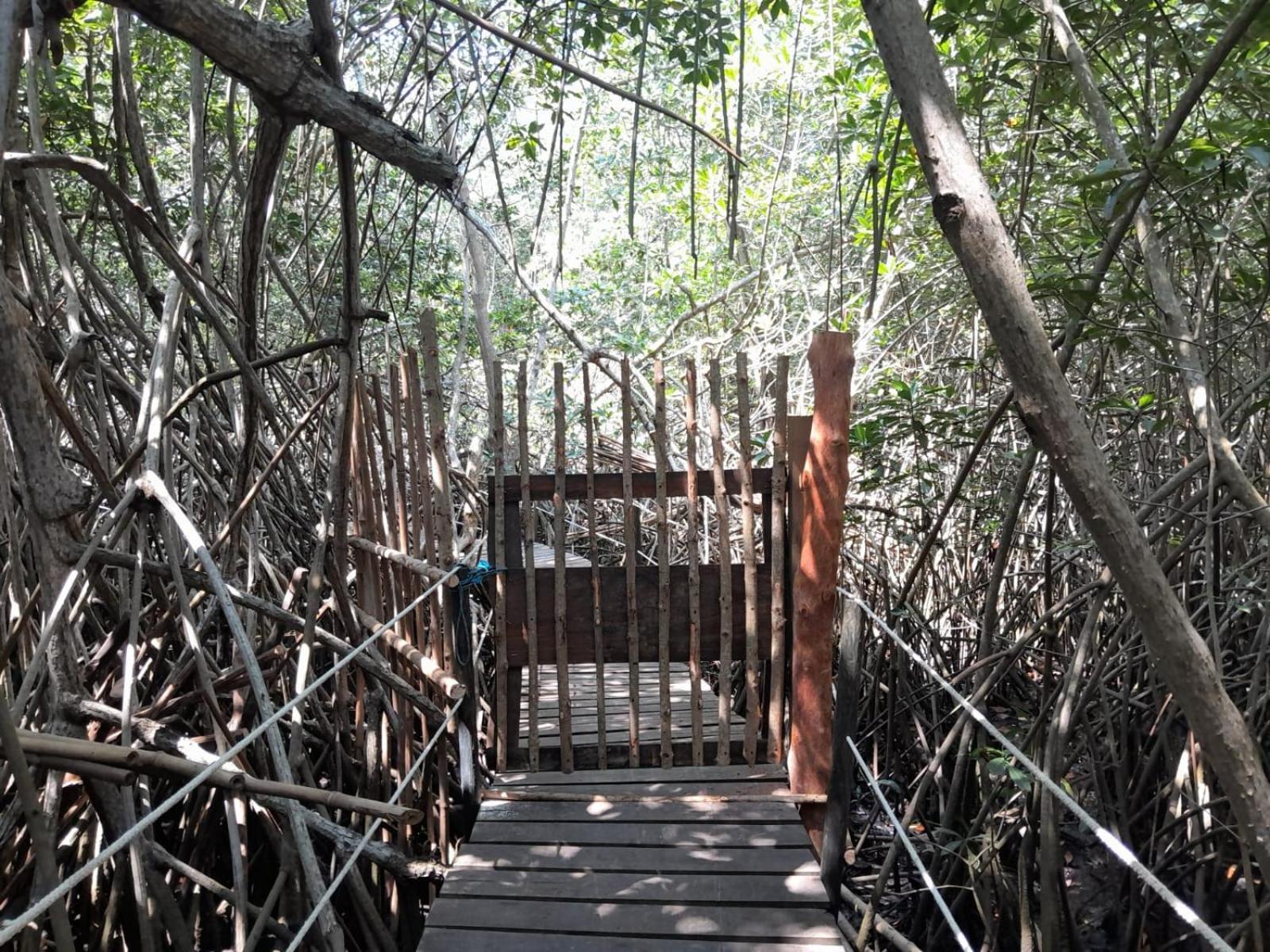 El Puente Hotel El Paredon Buena Vista ภายนอก รูปภาพ